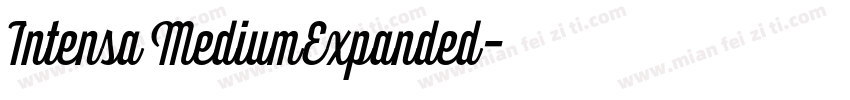 Intensa MediumExpanded字体转换